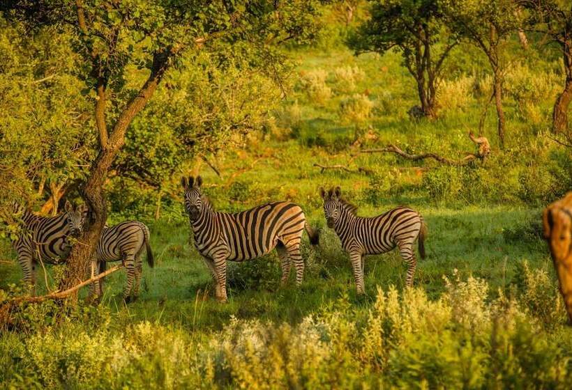 בית מלון כפרי Humala River Lodge