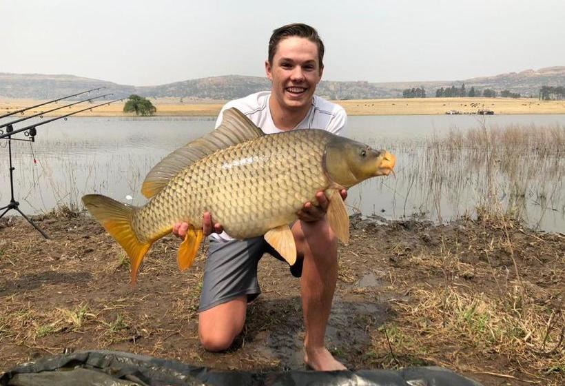 בית מלון כפרי Imla Guest Farm