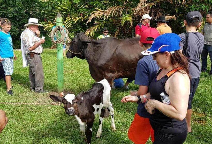 هتل Y Parque Turístico Navar City