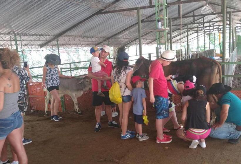 هتل Y Parque Turístico Navar City