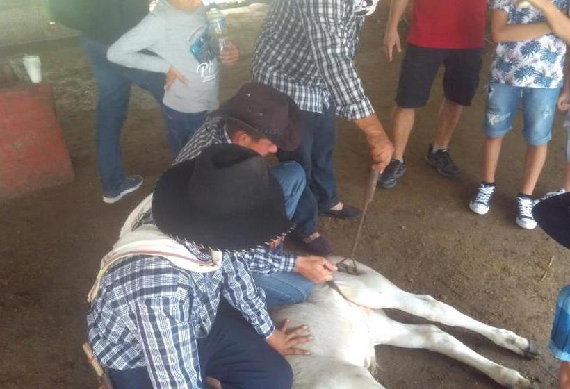 هتل Y Parque Turístico Navar City