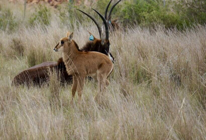 Kwetu Guest Farm