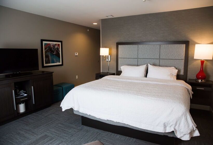 فندق Hampton Inn Pontiac