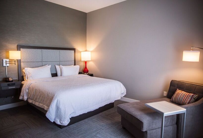 فندق Hampton Inn Pontiac