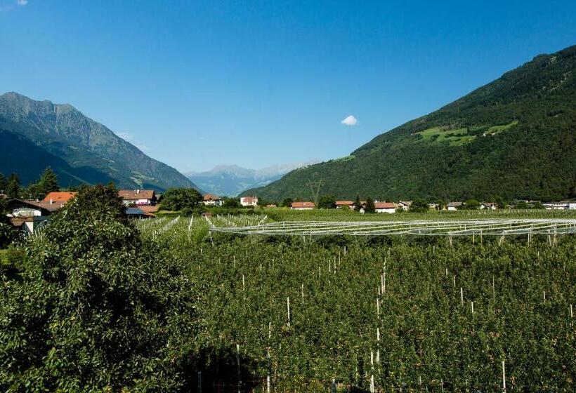 Bed and Breakfast Garni Appartment Wagnerhof