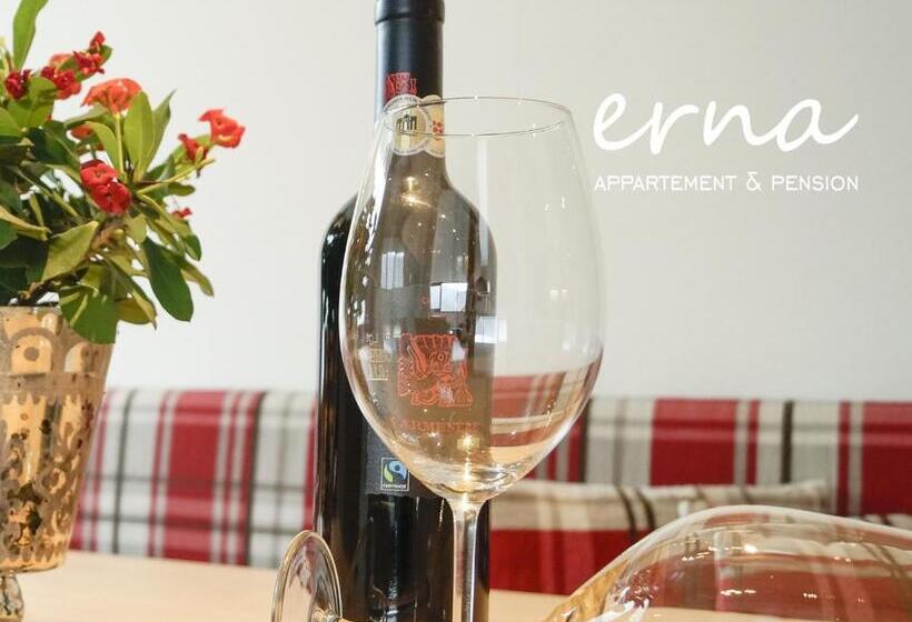 Bed and Breakfast Pension Apartment Erna