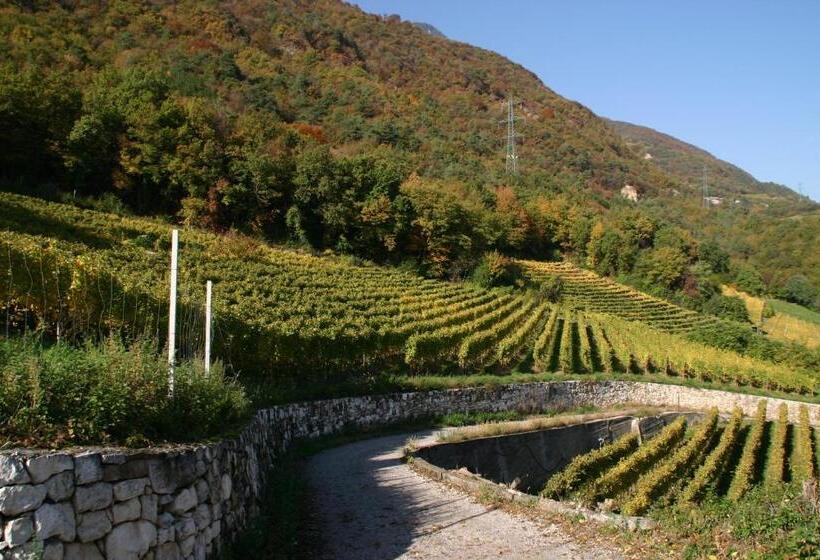 Bed and Breakfast Tirolerin Garni