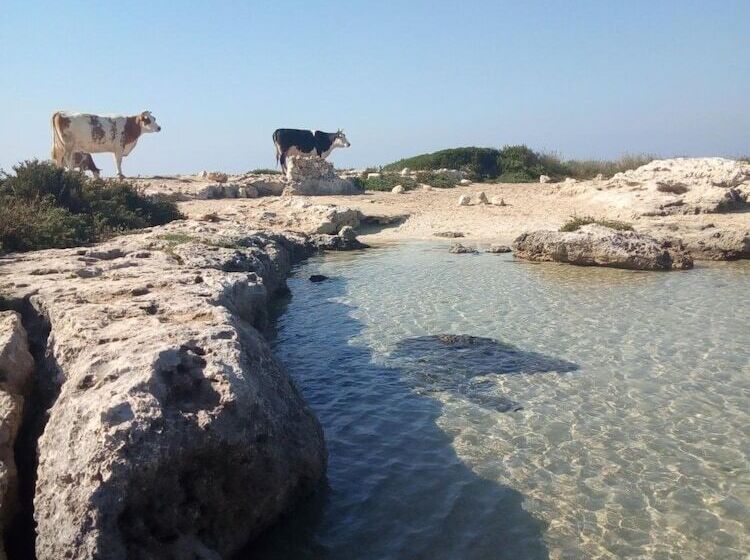 Bed and Breakfast Villa Itaca
