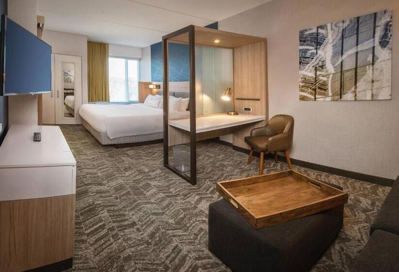 酒店 Springhill Suites By Marriott Gainesville Haymarket