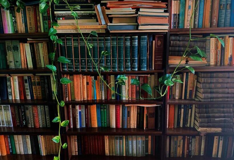 تختخواب و صبحانه Room In The Centre