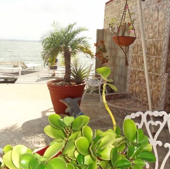پانسیون Casa Los Delfines