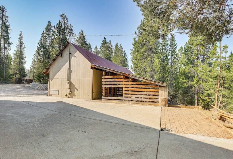 Woodsy Cabin Retreat ~ 4 Mi To Crescent Lake!