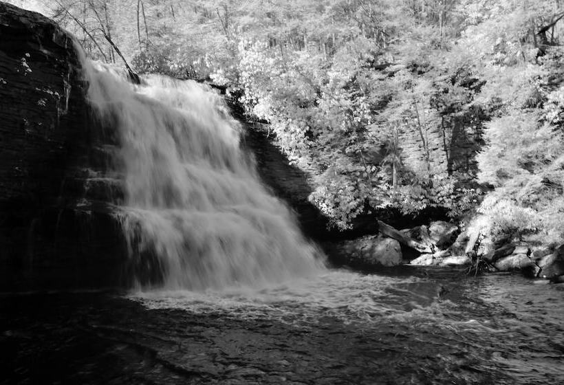 تختخواب و صبحانه Lake Pointe Inn