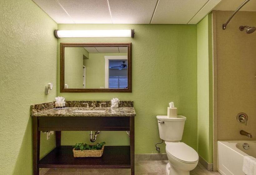 אתר נופש New Hotel Collection Harbourside
