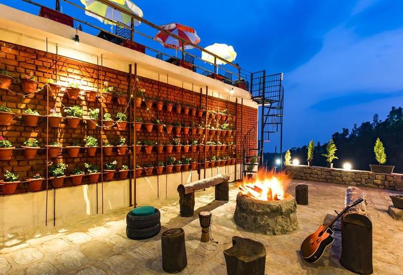 Общежитие Zostel Dharamkot