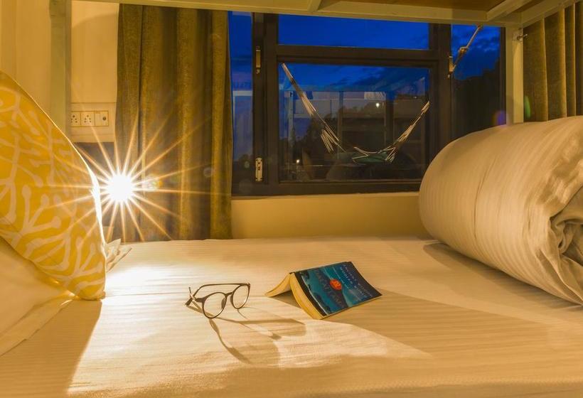 Общежитие Zostel Dharamkot