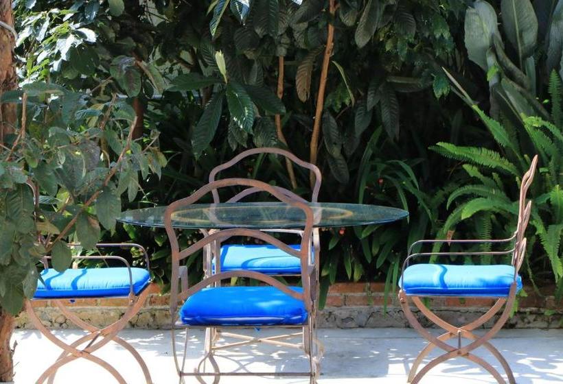 فندق La Casona Breakfast & Wellness Center