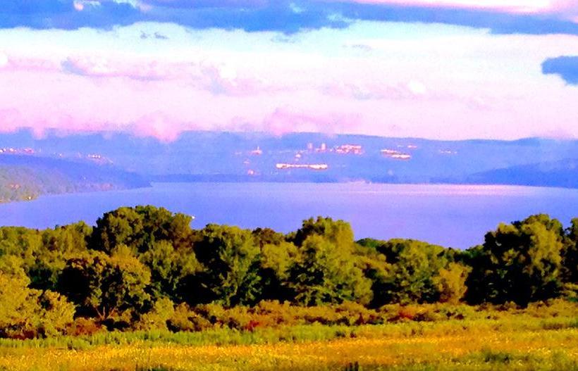 A Cayuga Lakefront Inn   Hotel Alt, Ithaca New York