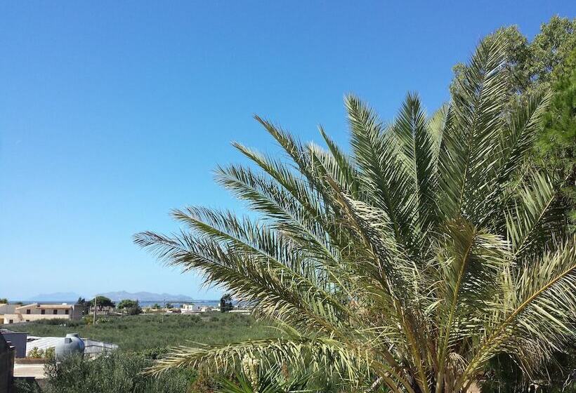 تختخواب و صبحانه Baglio Il Giovinetto