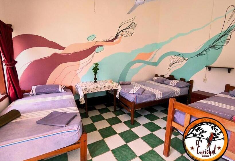 هتل El Curichal Hostel