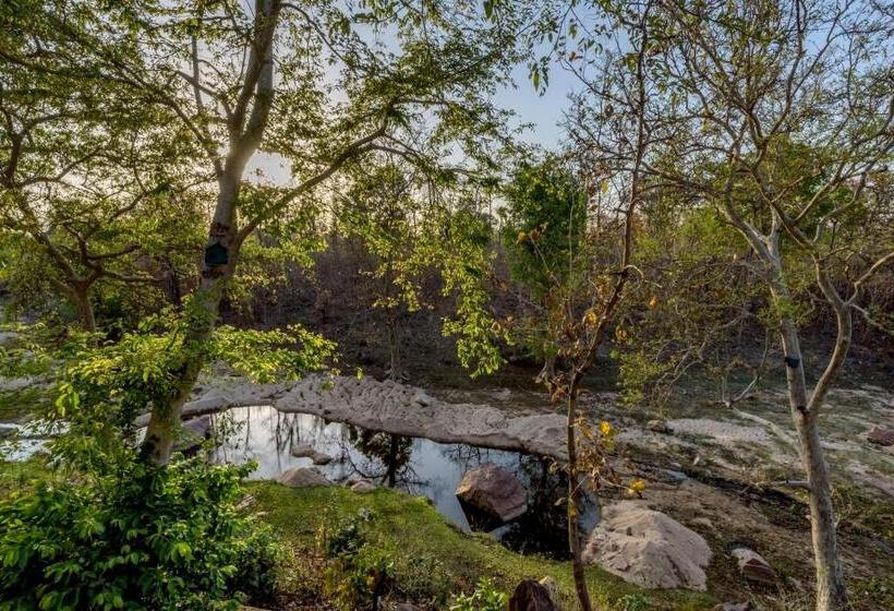 リゾートホテル The Riverwood Forest Retreat Pench