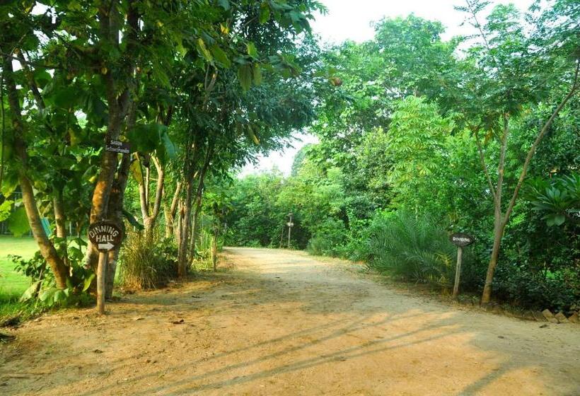 リゾートホテル The Riverwood Forest Retreat Pench