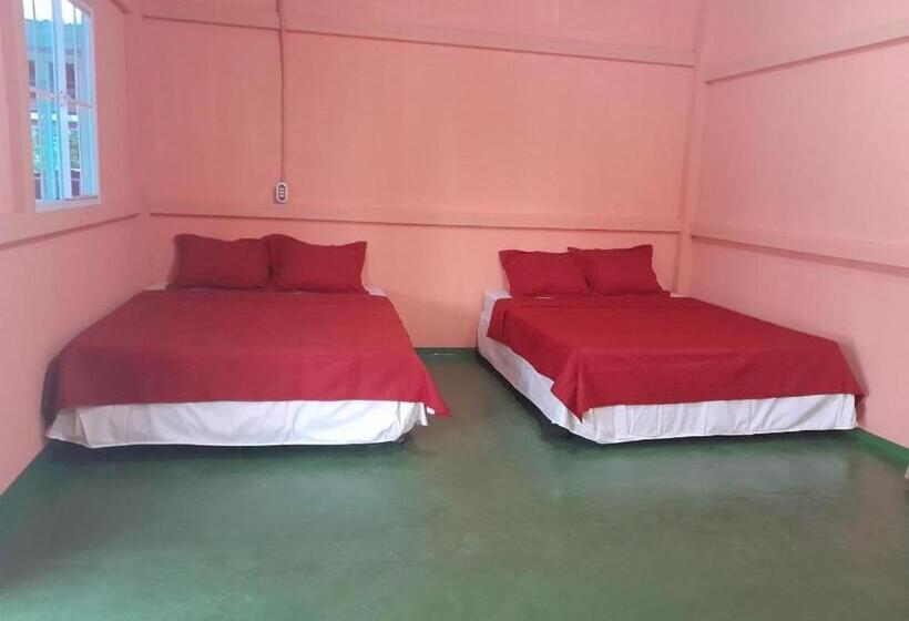بنسيون Hostal Adonis