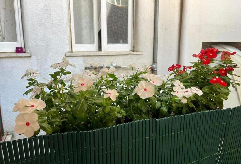 تختخواب و صبحانه Casa Dei Nonni Di Yuri