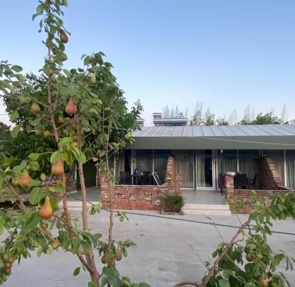 تختخواب و صبحانه Casa Mora Zeytinli