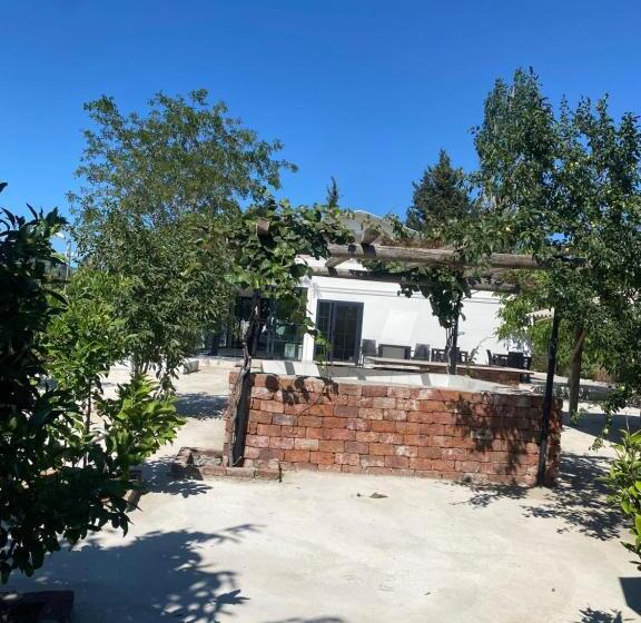 تختخواب و صبحانه Casa Mora Zeytinli