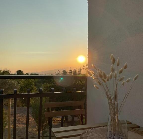 住宿加早餐  Guar Country Resort