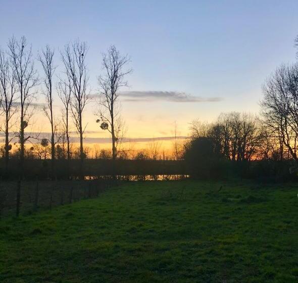 ベッドアンドブレックファースト Maison Bon