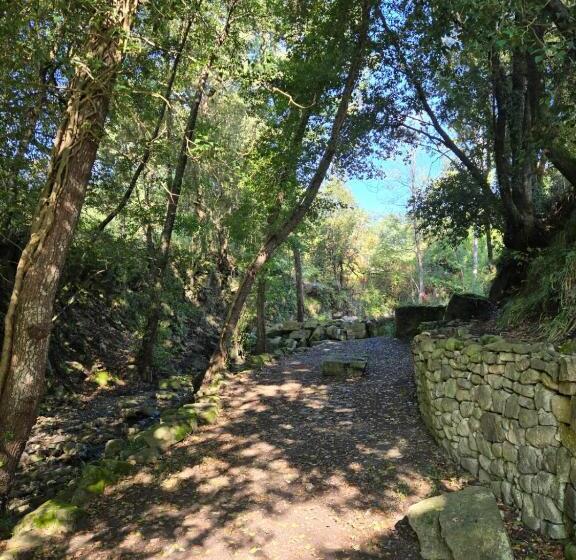 ホテル Tenuta D Arienzo