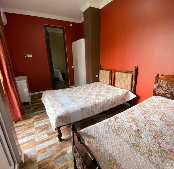 پانسیون Totoro