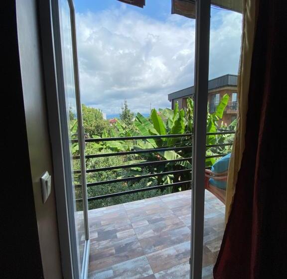 پانسیون Totoro