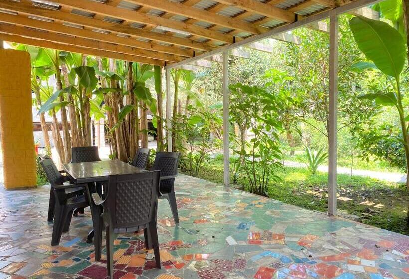 پانسیون Totoro