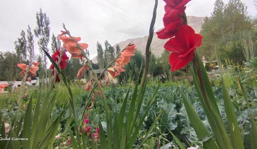 مبيت وإفطار Royal Mount Guest House Ladakh By Lexstays