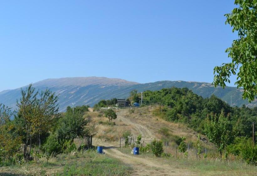 پانسیون Camping & Guest House Murataj