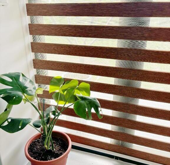 Tidal Stream Sea View B&b