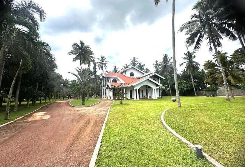 住宿加早餐  Villa Di Angelo