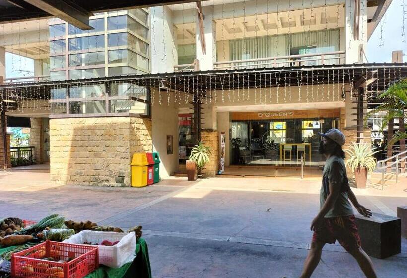 Comfy 33 The Persimmon Studio