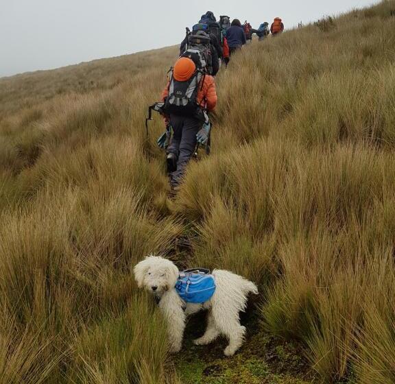 تختخواب و صبحانه Casa Del Montañero