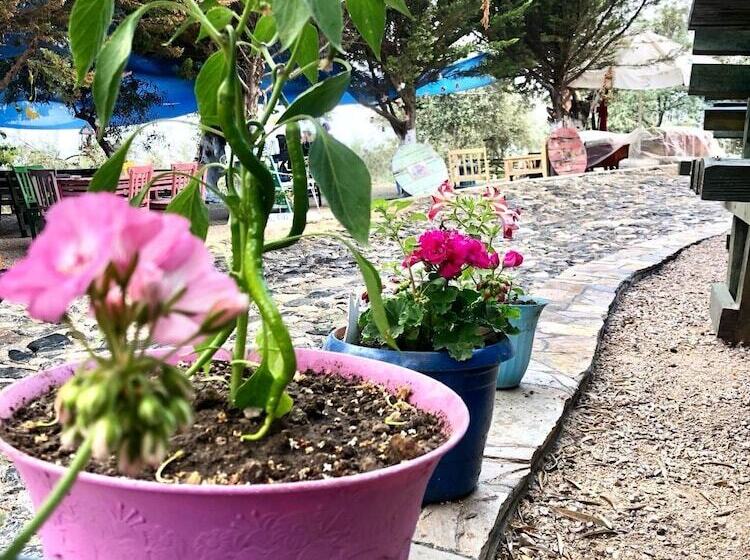 تختخواب و صبحانه Kaymak Tepesi Tatil Evi