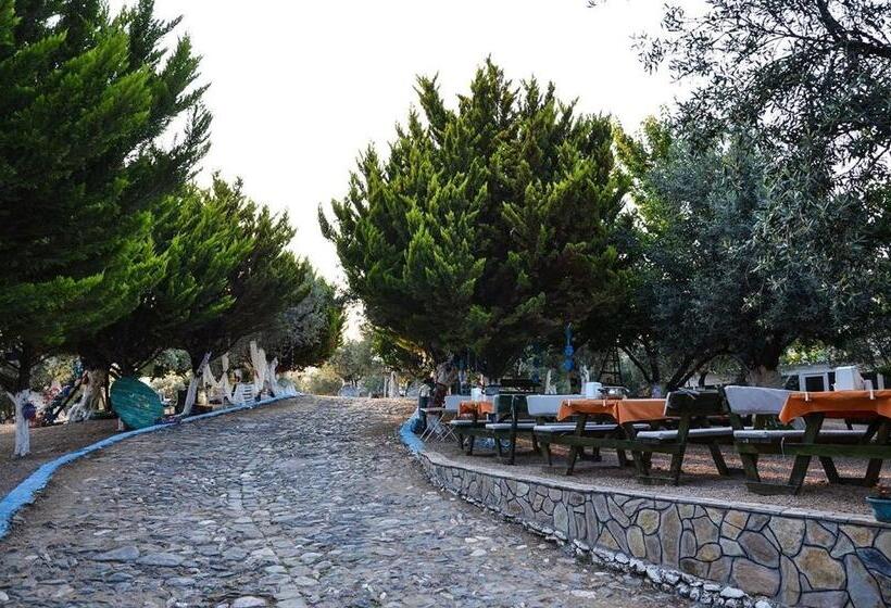 تختخواب و صبحانه Kaymak Tepesi Tatil Evi