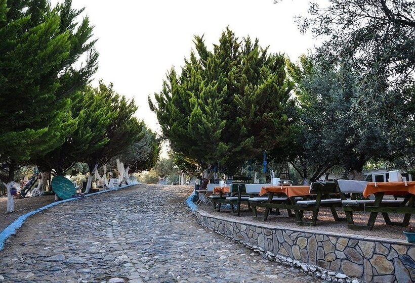 تختخواب و صبحانه Kaymak Tepesi Tatil Evi