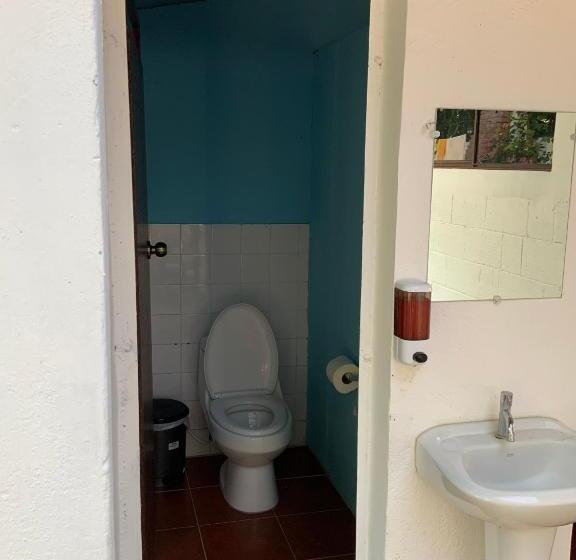 فندق صغير Hostal Tia Reyna