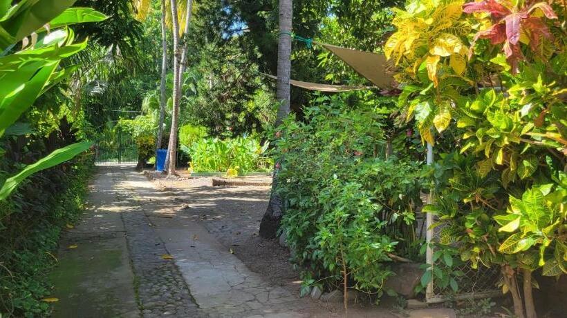 فندق صغير Hostal Tia Reyna