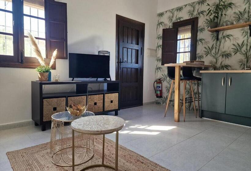ベッドアンドブレックファースト Finca Flamenco Holiday Suites