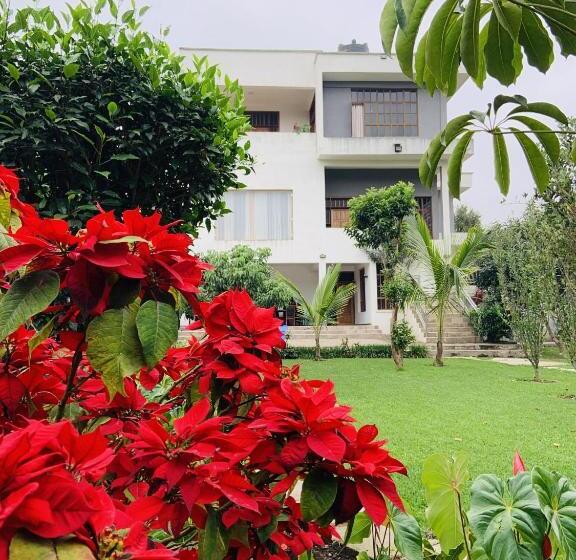 تختخواب و صبحانه Arusha Serene Mansion