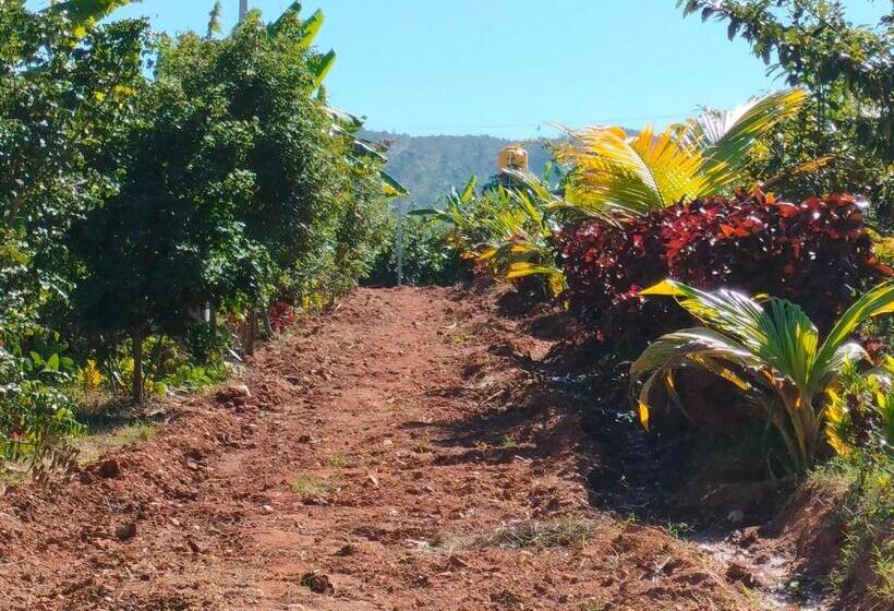 酒店 The Shire Charming Farmstay